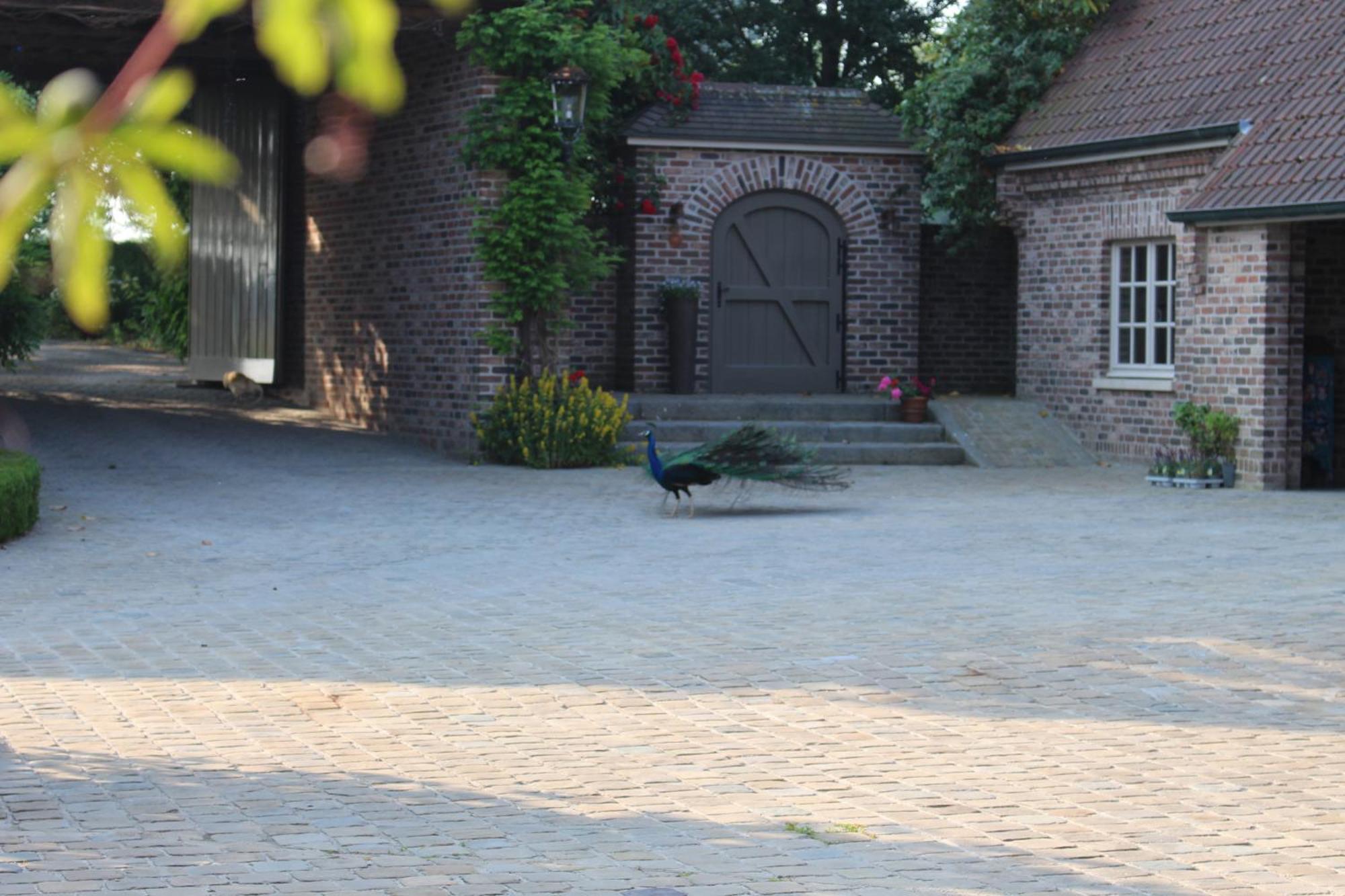 Imagine B&B Wortegem Екстер'єр фото